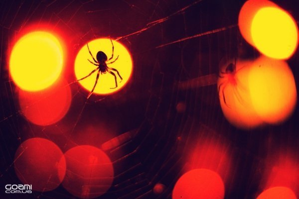 Фотовиставка Діми Goami